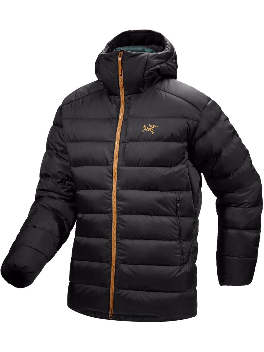 Facewest: Arcteryx Thorium Hoody